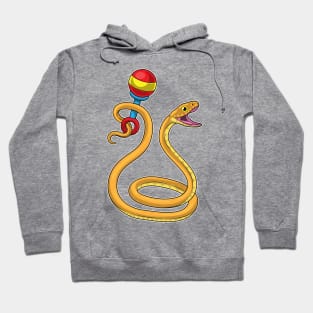 Snake Musician Rattle Music Hoodie